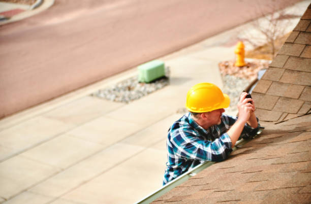 Best Roof Gutter Cleaning  in South Congaree, SC