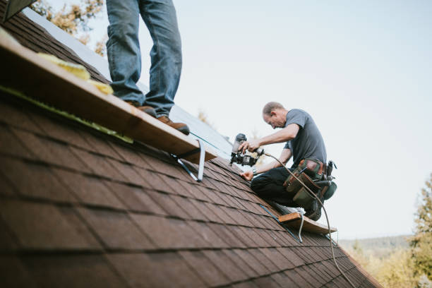 Quick and Trustworthy Emergency Roof Repair Services in South Congaree, SC